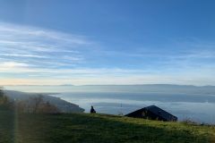 0D91F772-64DE-4B1B-9071-AA2C51C16D0C