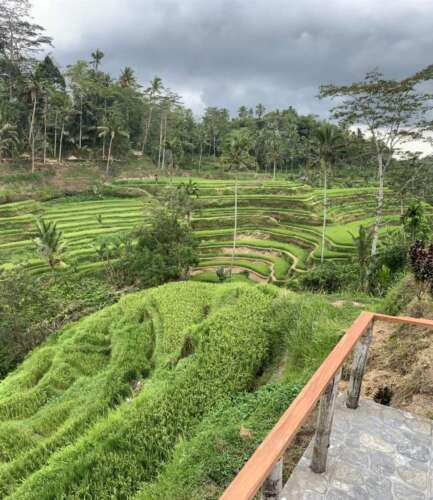 0196b9483f4c9696f416019d49b092813ec94c2954